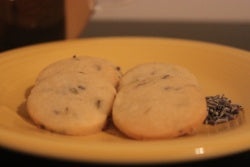 Lavender Tea Cookies