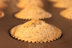 Lemon Poppy Seed Muffin Recipe