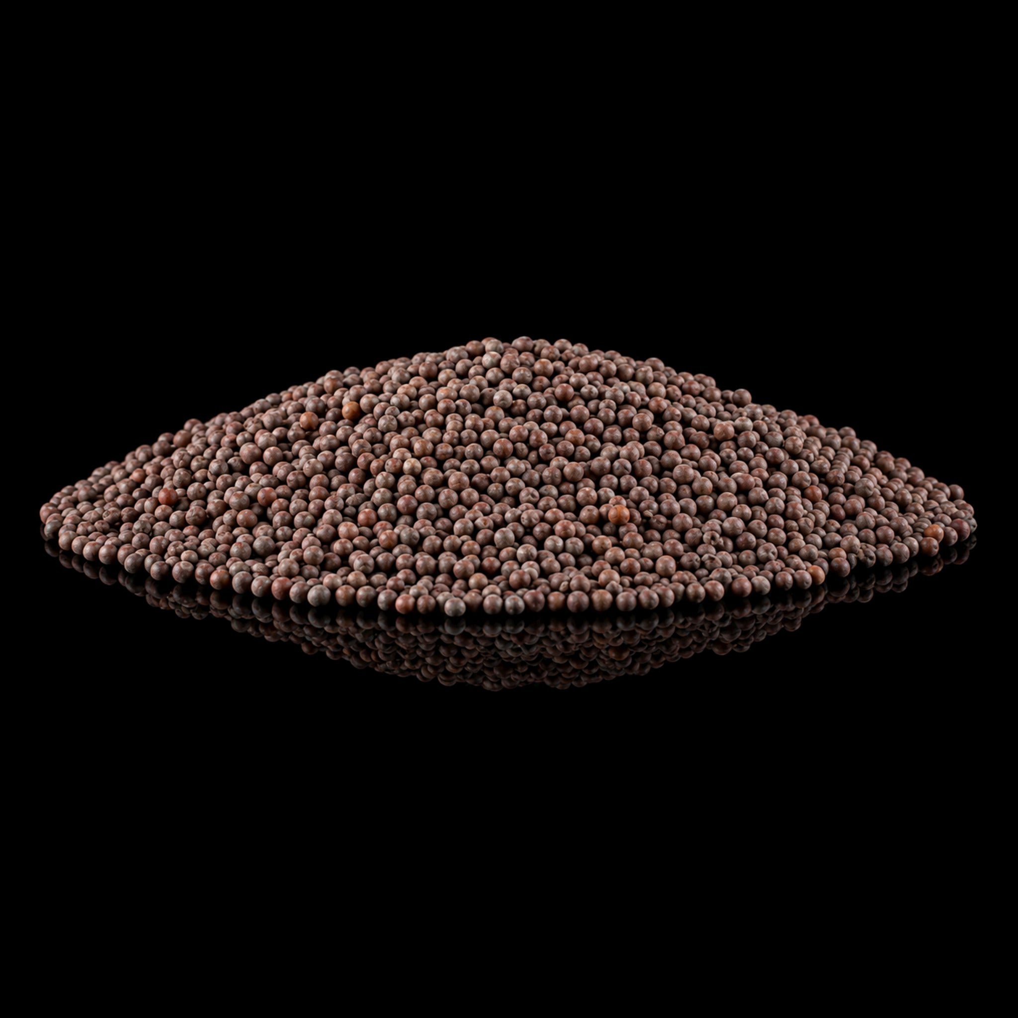 Brown Mustard Seed