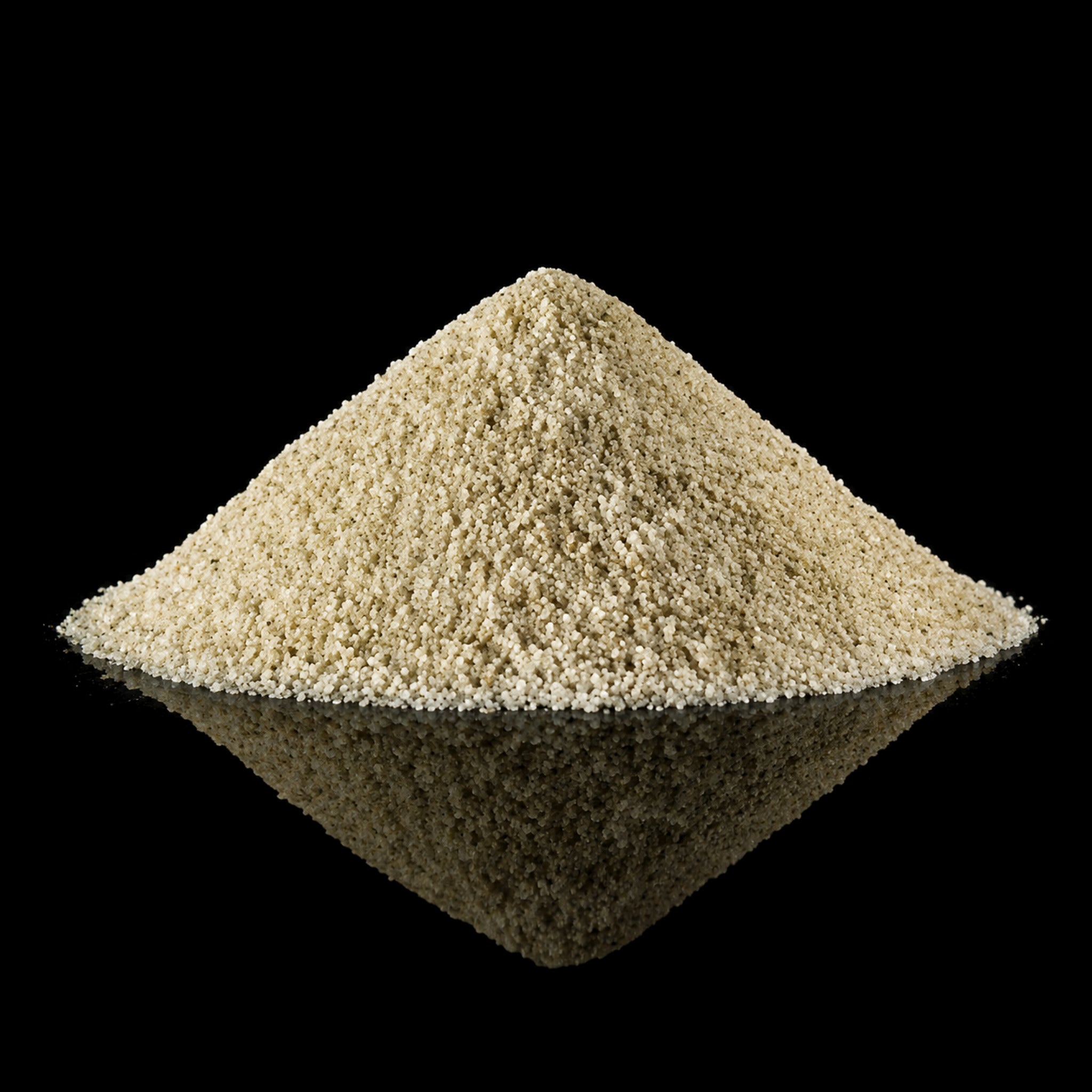 Celery Salt