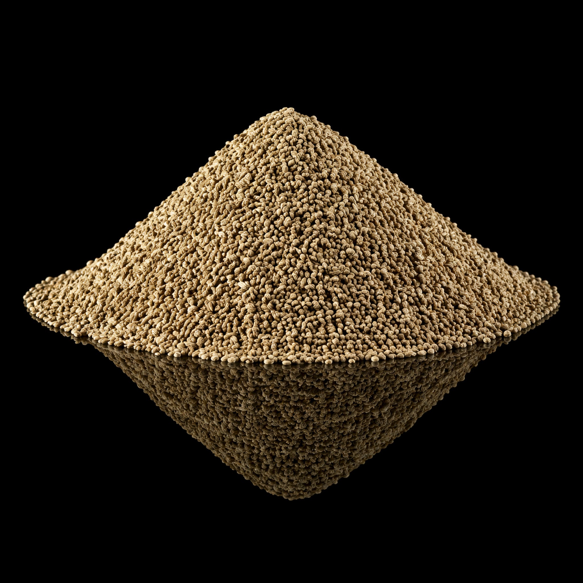 Celery Seeds