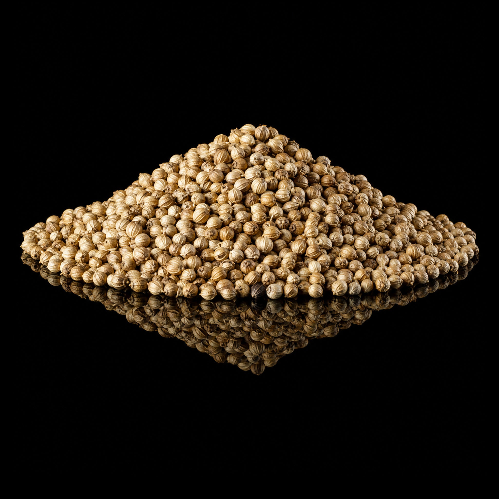 Coriander Seeds