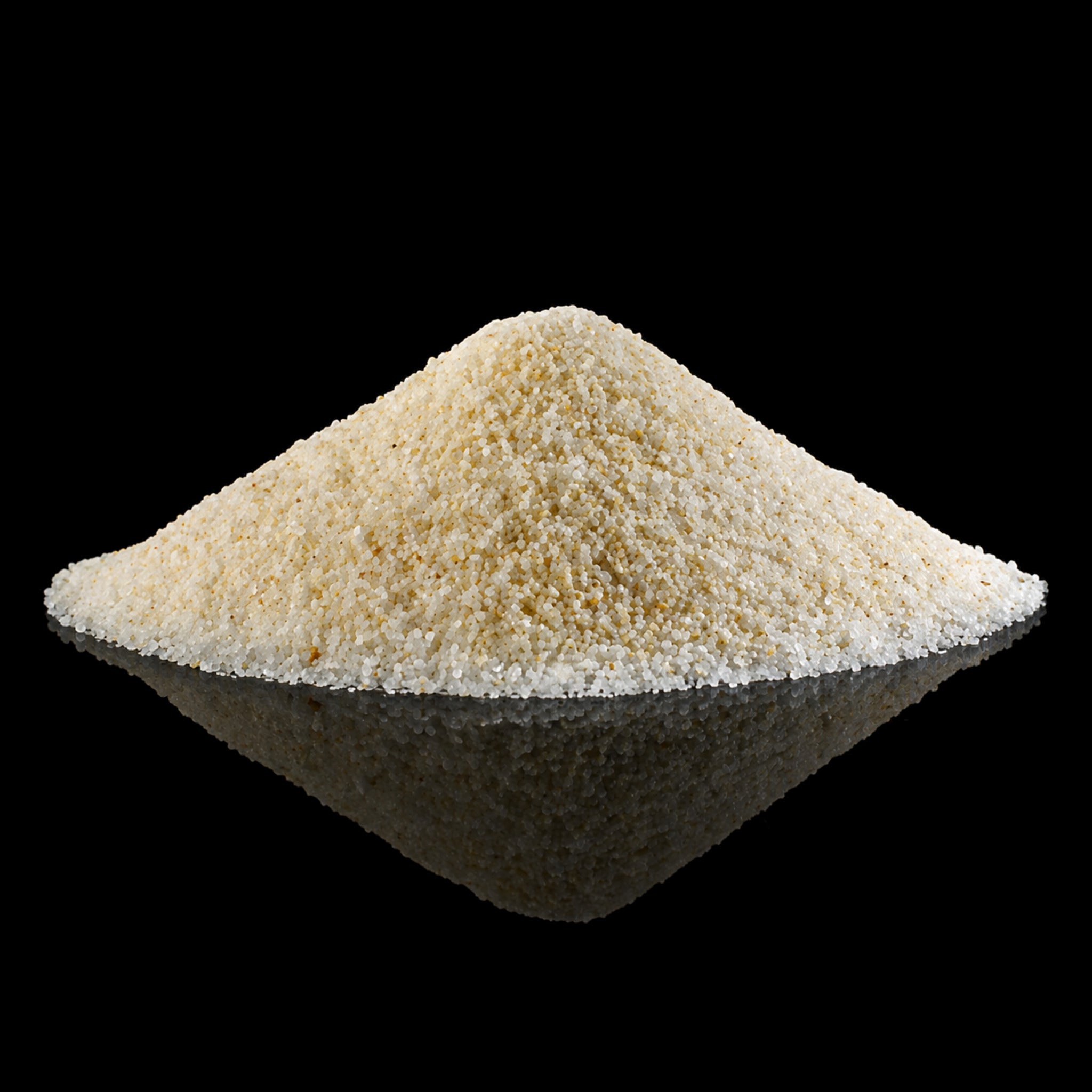 Garlic Salt