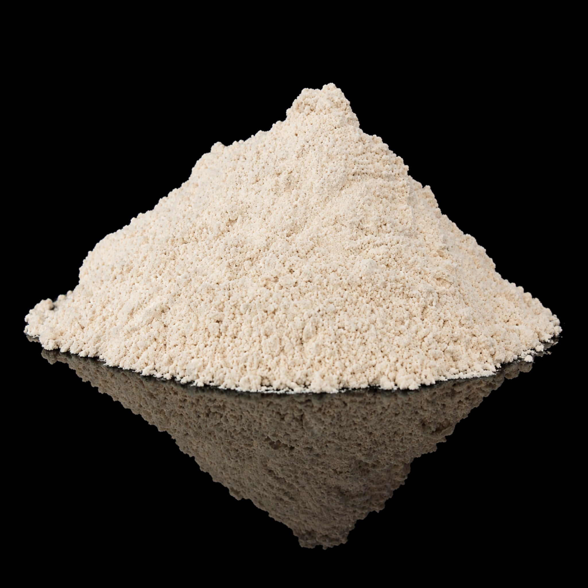 Mushroom Powder Blend