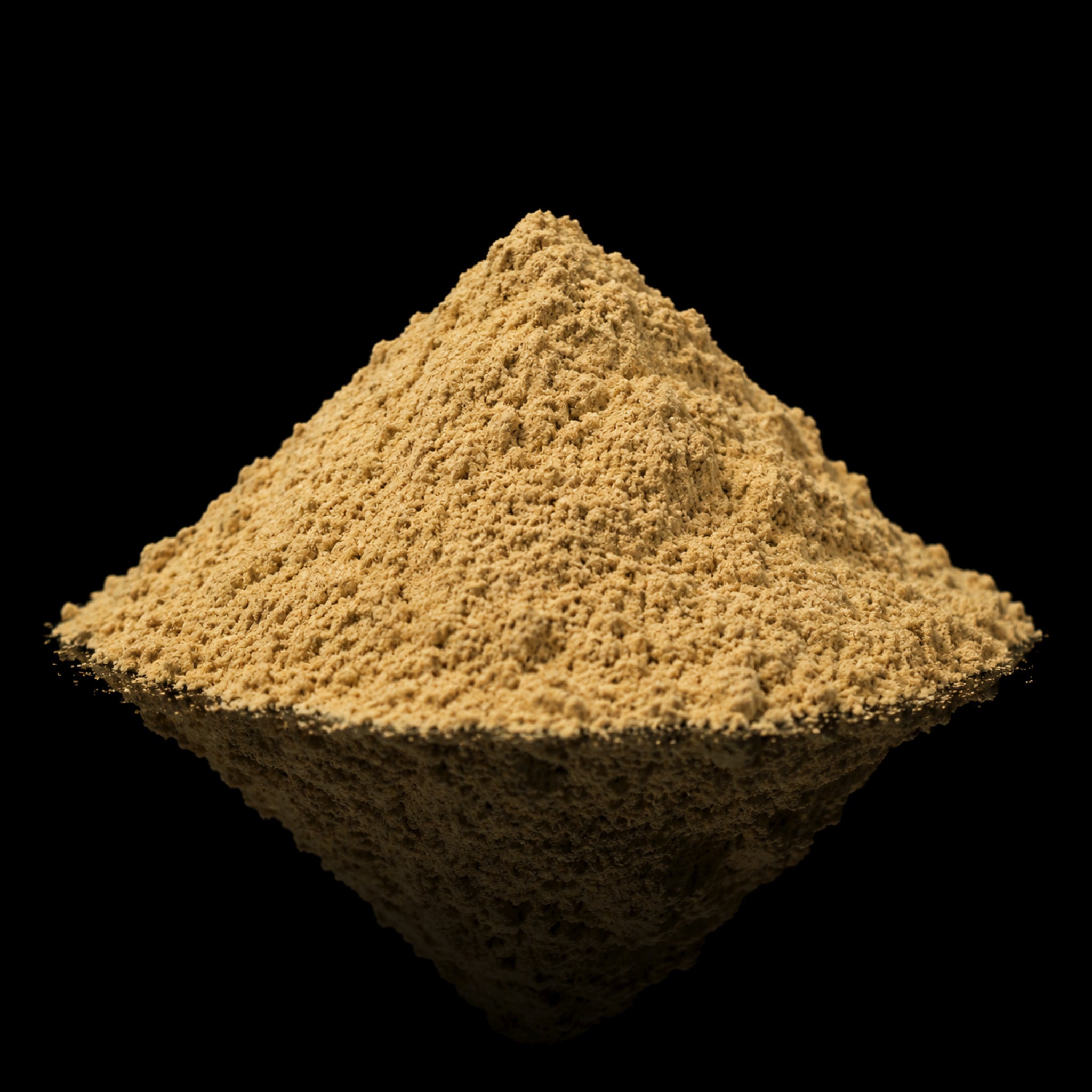 Porcini Mushroom Powder