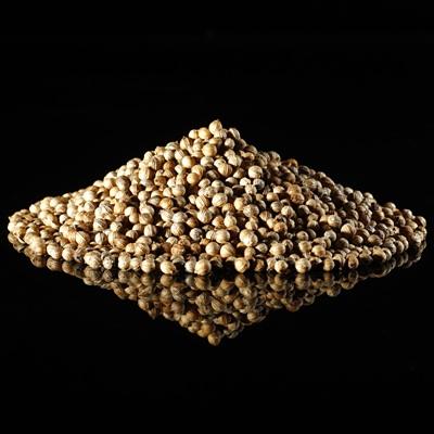 Coriander Seeds - Free Sample