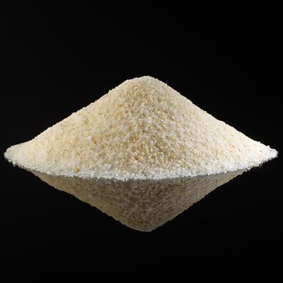 Garlic Salt - Free Sample